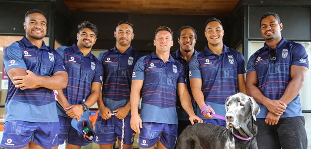 [Photos] Volunteering at the SPCA