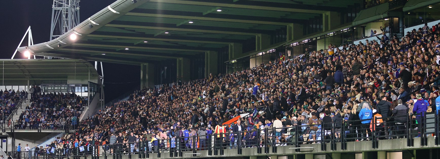 Napier's McLean Park to host trial against Sea Eagles