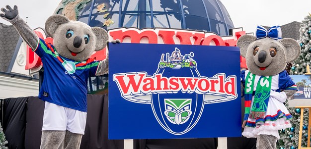 Teaming up to turn Dreamworld into Wahsworld