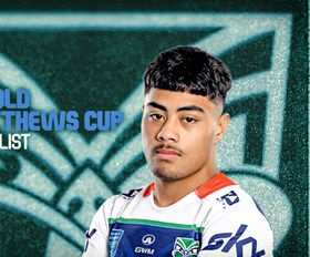 Harold Matthews Team List: Five grand final winners named